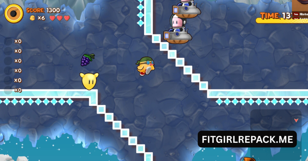 THE NEWZEALAND STORY 