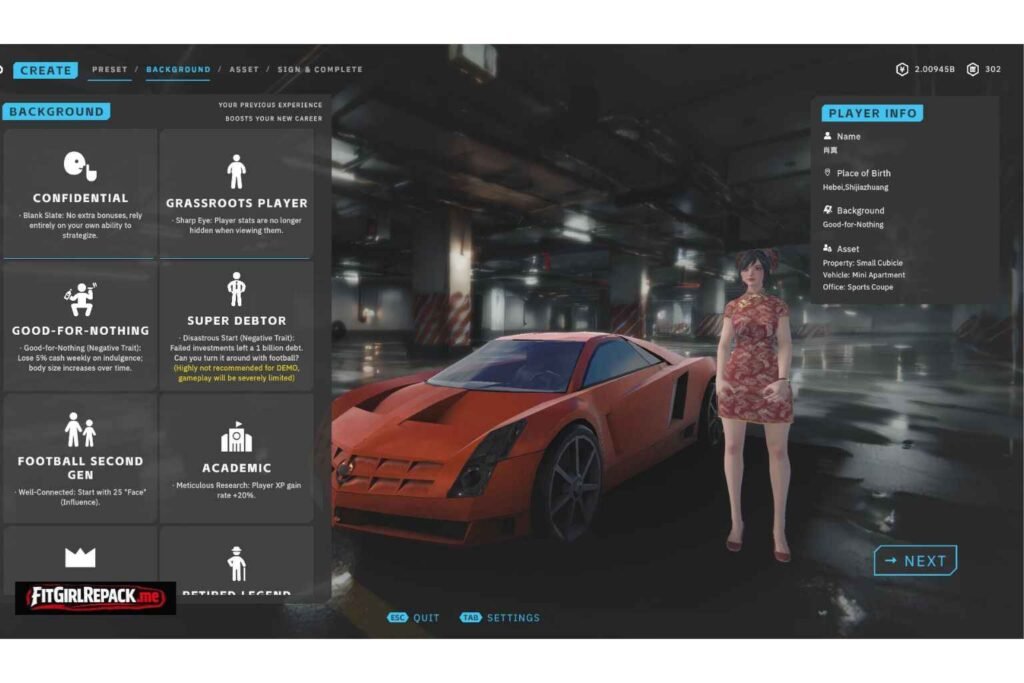 CFS (Chinese Football Simulator)