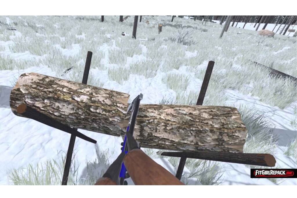 Forest Construction VR 