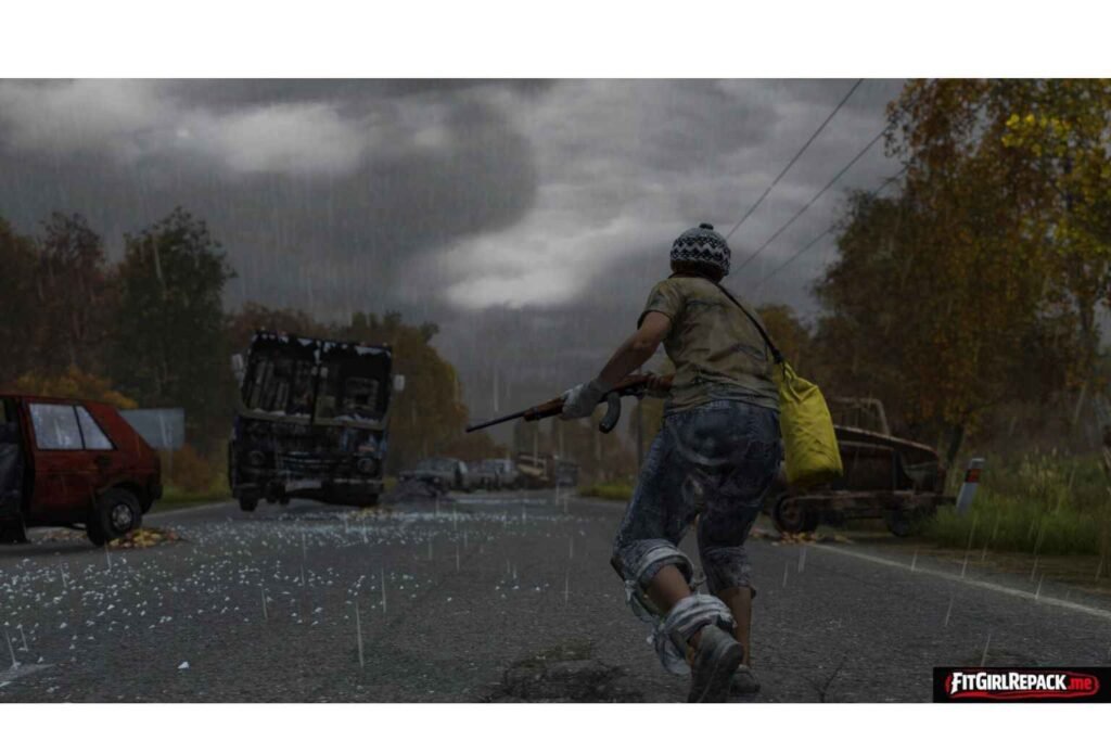 DayZ