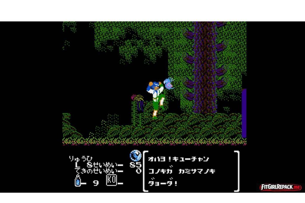 Hiryu no Ken Collection