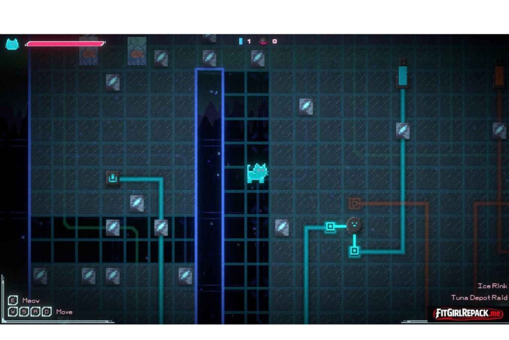 Infinite Cat Theorem