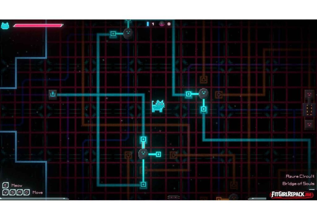 Infinite Cat Theorem