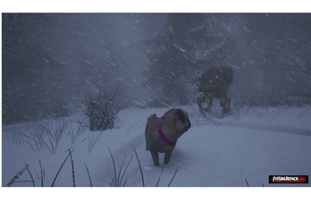 The Good Dog Chasing Shadows