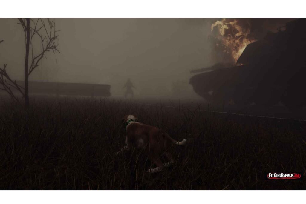 The Good Dog Chasing Shadows