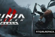 Ninja Gaiden 2 Black