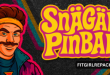 Snägäri Pinball