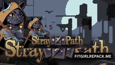 Stray Path