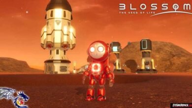 Blossom: The Seed of Life