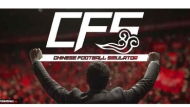 CFS (Chinese Football Simulator)