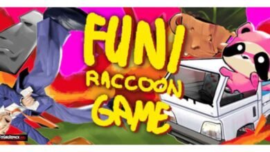 Funi Raccoon Game
