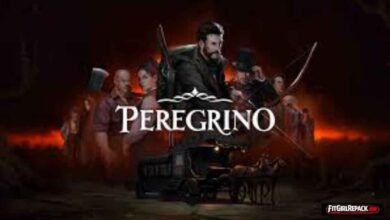 Peregrino