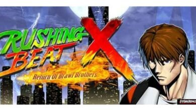 RUSHING BEAT X: Return Of Brawl Brothers
