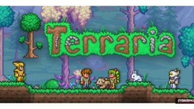 Terraria