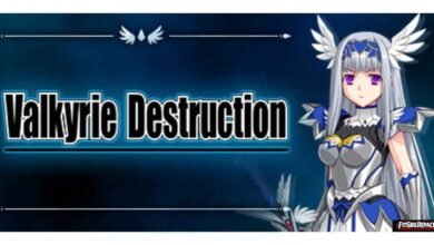 Valkyrie Destruction