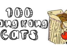 100 Hong Kong Cats