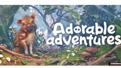 Adorable Adventures