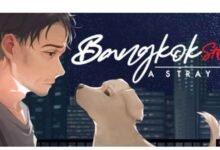 Bangkok Story: A Stray Dog