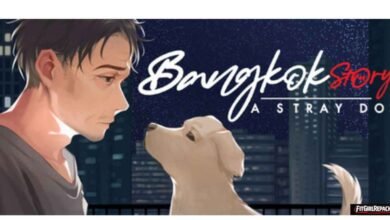 Bangkok Story: A Stray Dog