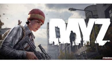 DayZ