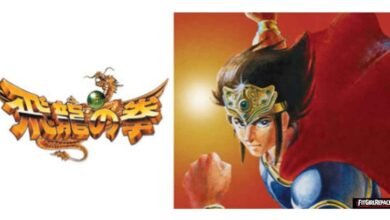 Hiryu no Ken Collection