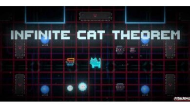 Infinite Cat Theorem