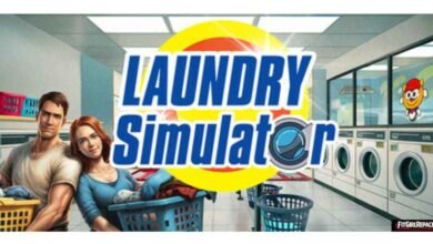 Laundry Simulator 2026