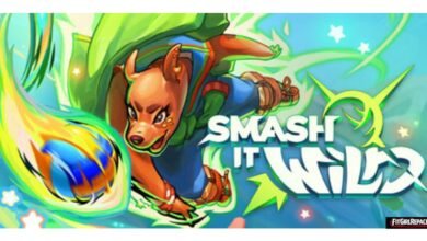 Smash it Wild: Tactical Volleyball Roguelike