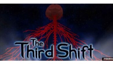 The Third Shift