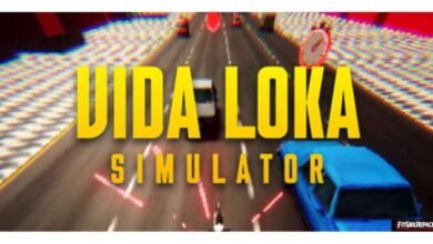 Vida Loka Simulator