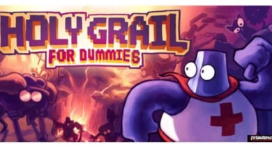 HOLY GRAIL for DUMMIES
