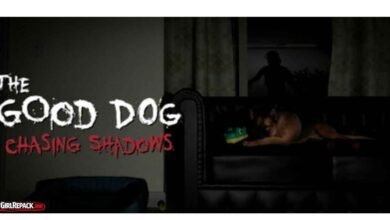 The Good Dog Chasing Shadows