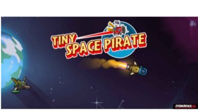 Tiny space pirate