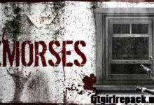 Remorses