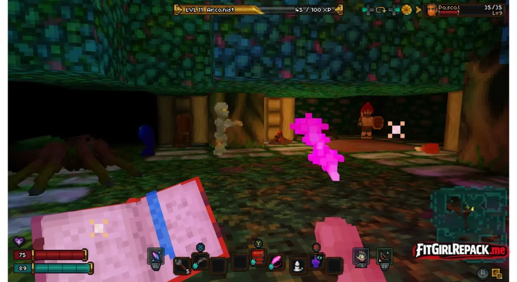 Barony Latest PC Game – Free Download