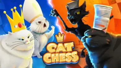Cat Chess Relaxing Strategy Board Game Gameplay & Features